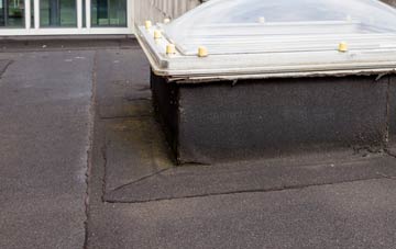 disadvantages of Huby flat roofs