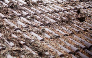 Huby roof cleaning companies